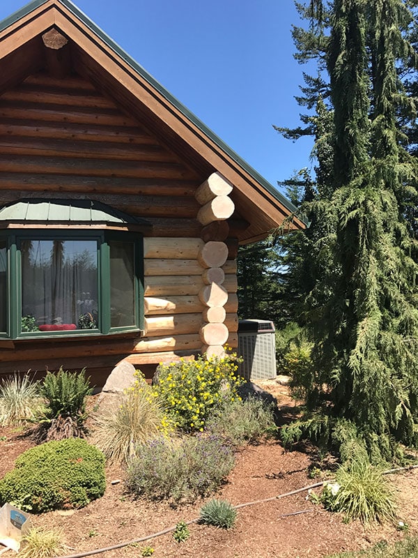 Structural Log Repair | Log Homes | Tip Top Construction